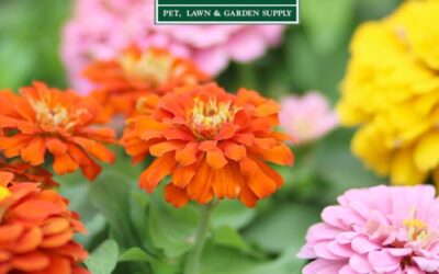 May To Do List & Planting and Lawn Tips