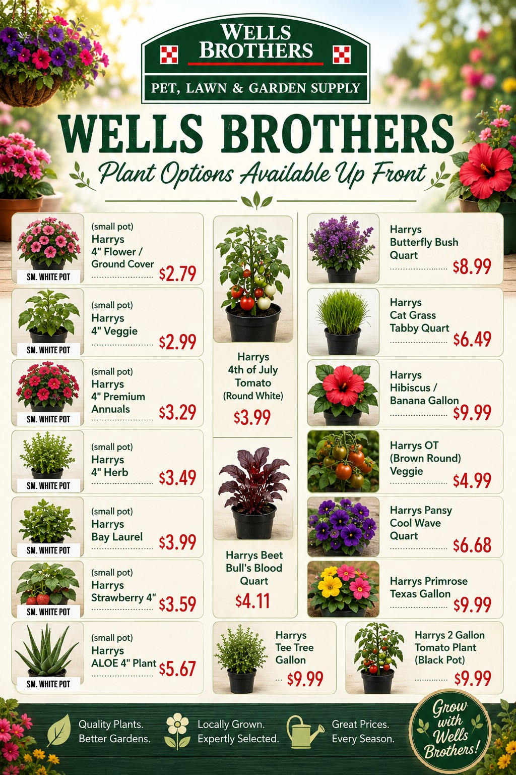 Wells Brothers Plants Design